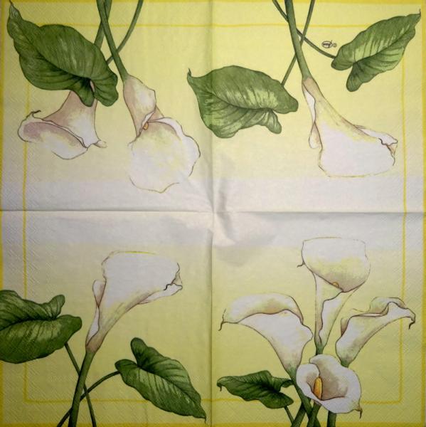 031 Calla - 3-lagig - Ambiente